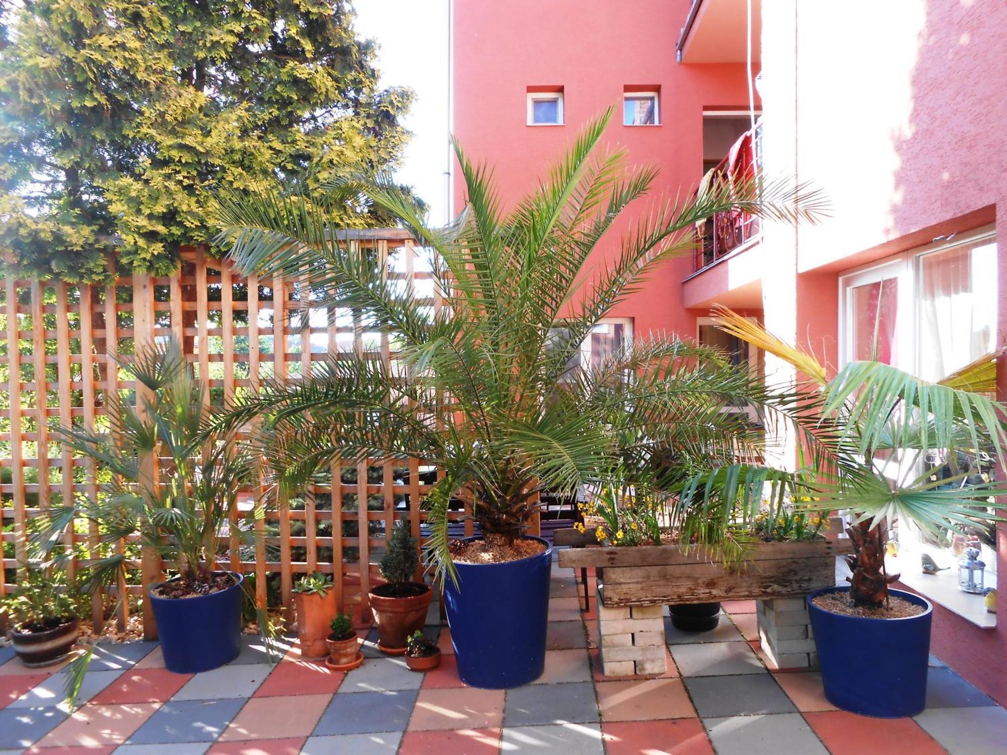 Penzión Vilka Podhájčanka Podhájska Exterior foto